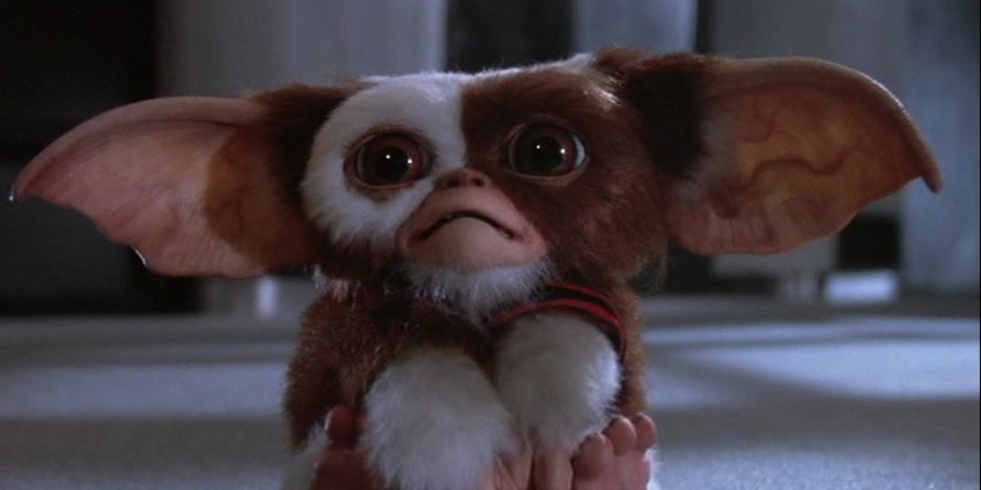 Gremlins Reboot Script Remake De Los Gremlins