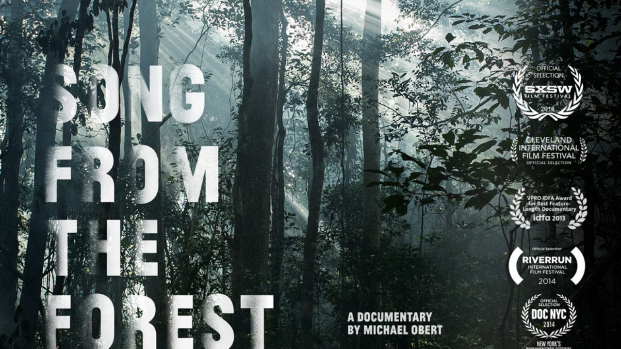 Movie Review - 'Song from the Forest' - mxdwn Movies