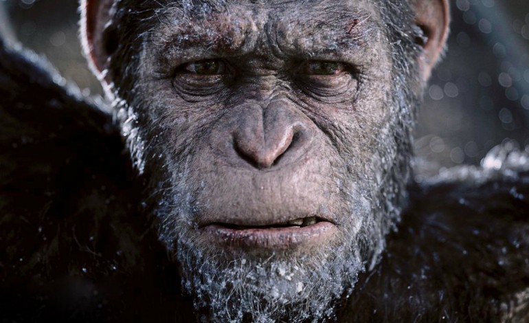 Who is Caesar? — The Legacy of Andy Serkis and the ‘Apes’ Trilogy ...