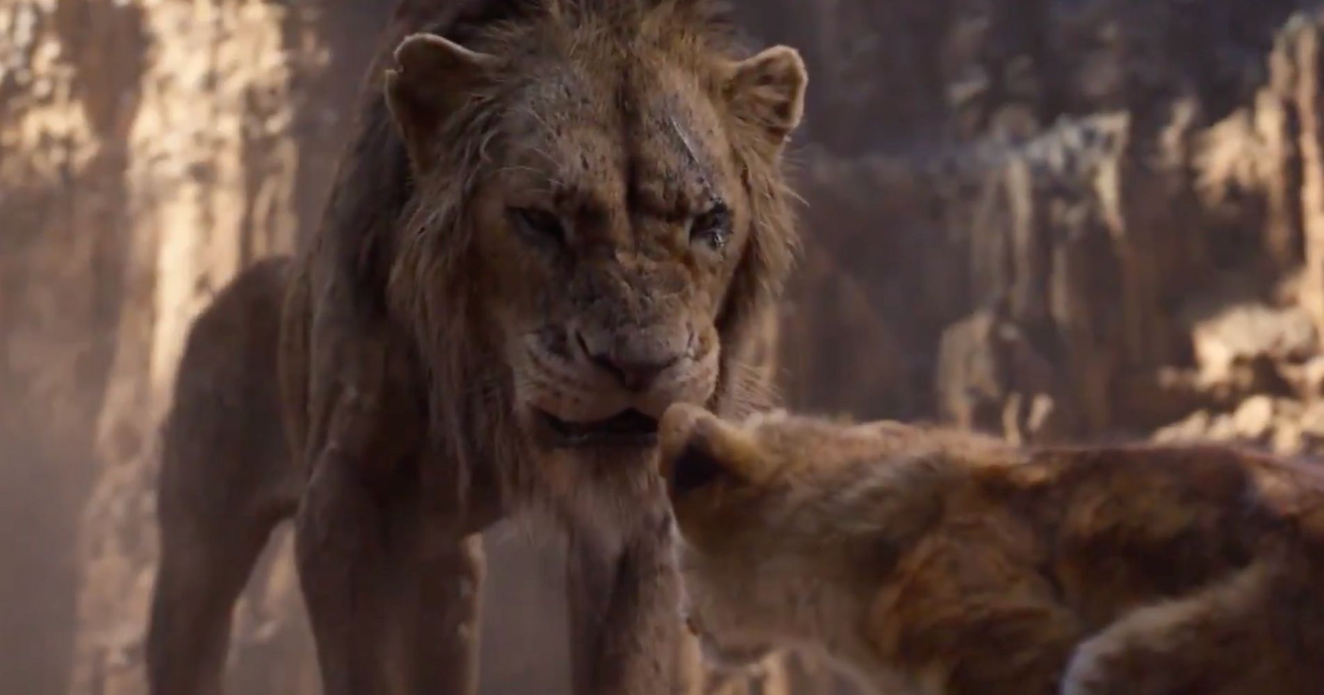 lion king live action