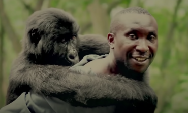 Documentary 'Virunga' Being Made into Feature Film with Barry Jenkins and Leonardo Dicaprio